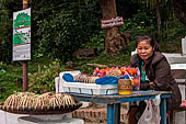 Luang Prabang, Laos - Street seller.